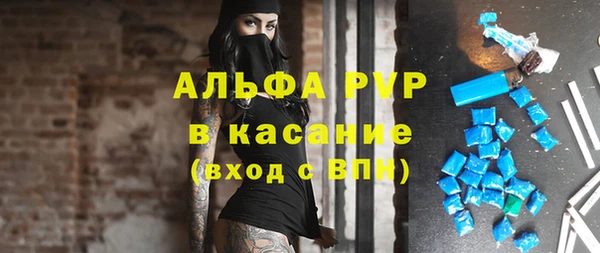крисы Вяземский