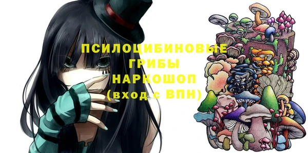 крисы Вяземский